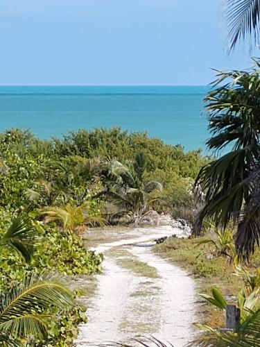 a dirt road through a jungle with the ocean at La Casa del Ritmo in El Cuyo