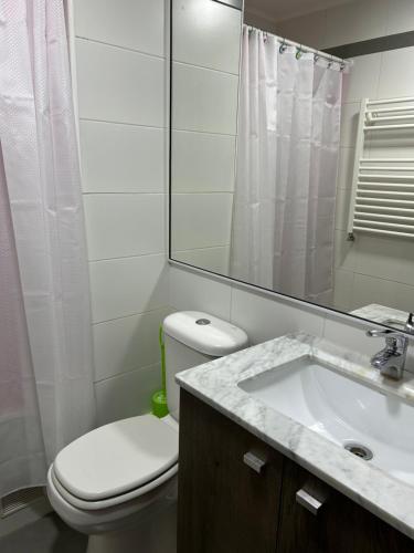 a bathroom with a toilet and a sink and a mirror at Condominio Costa Pucon in Pucón
