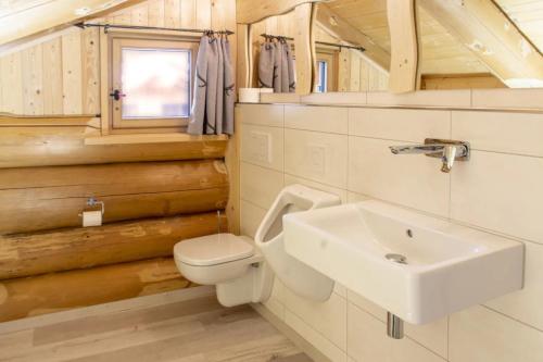 a bathroom with a toilet and a sink at Blockhaus Almhütte Hofblick in Glatten