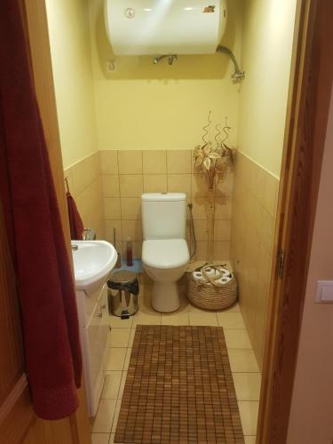 a small bathroom with a toilet and a sink at Čapuliši in Kandava
