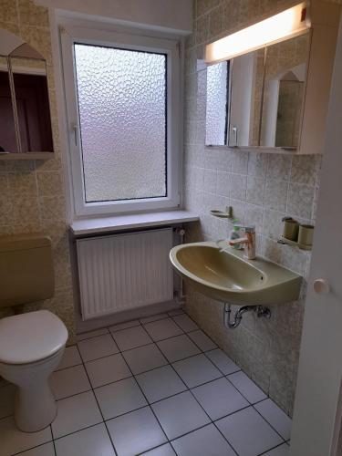 een badkamer met een wastafel en een toilet en een raam bij Fewo Wellnesspalast in Bad Nauheim