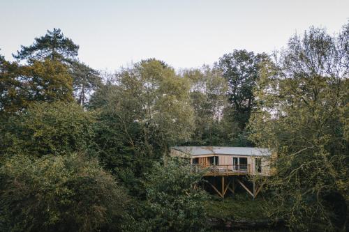 a house in the middle of the trees at RewildThings Treehouses in Gloucester