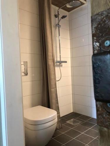 ein Bad mit einem WC und einer Dusche in der Unterkunft Steel Hotel in Smedjebacken