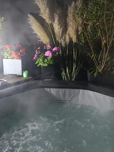 Photo de la galerie de l'établissement chambre double avec sdb à partager si 2 ème chambre louee, à Brévonnes