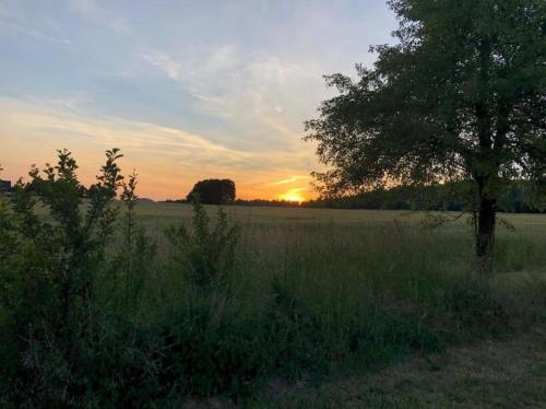 a field with a tree and the sunset in the background at Traumschmiede in Bad Emstal
