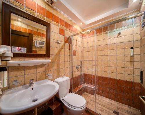 a bathroom with a toilet and a sink and a shower at Hotel Giamandes in Elati Trikalon