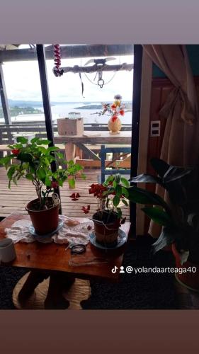 two potted plants sitting on a table in front of a window at Cabaña lancuyen in Futrono