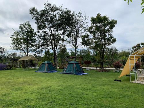 duas tendas num campo com árvores ao fundo em Baan Suan Madam บ้านสวนมาดามวังน้ำเขียว em Ban Khlong Ta Sang
