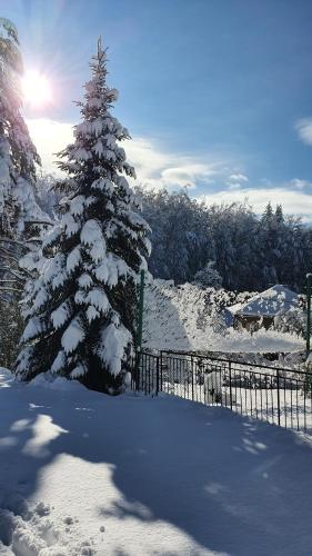 a snow covered pine tree next to a fence at Hotel Perfect in Yamna