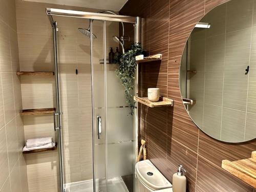 een badkamer met een douche, een toilet en een spiegel bij Dúplex en Sallent de Gállego in Sallent de Gállego