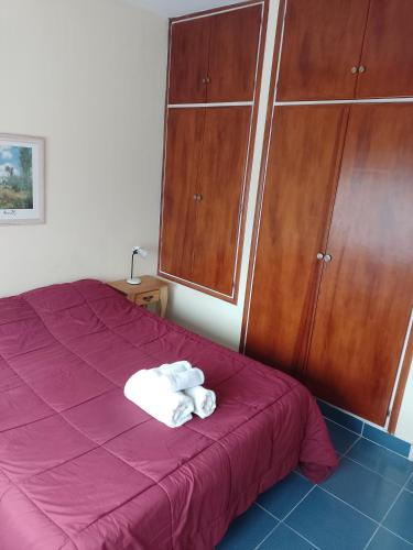 een slaapkamer met een paars bed en houten kasten bij Luminoso céntrico in Neuquén