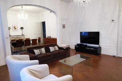 a living room with a couch and a tv at Appartement 120 m² Standing Hyper Centre Climatisé in Perpignan