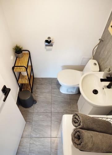 a bathroom with a toilet and a sink at Apartamenty Urban Concept in Zamość