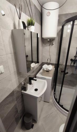 a white bathroom with a sink and a mirror at Apartamenty Urban Concept in Zamość