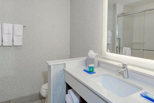 a bathroom with a sink and a mirror and a toilet at Holiday Inn Express & Suites - King George - Dahlgren, an IHG Hotel in Alden