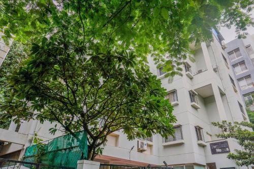 a white building with a tree in front of it at Super OYO Flagship Hotel Mv Galaxy in Dāpuri