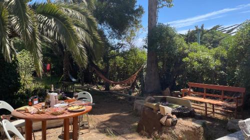 a table with food on it in a yard with a bench at Cabaña en Pichidangui un Oasis de naturaleza y relajación in Pichidangui