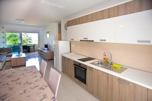 eine Küche mit einer Spüle und einer Arbeitsplatte in der Unterkunft Apartments Maslina I in Njivice