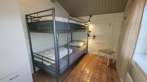 a bedroom with a bunk bed with a ladder at Øen Turistsenter Apartments in Geilo