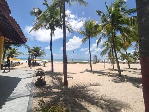 plaża z palmami i oceanem w obiekcie APARTAMENTO 104- BGMC w mieście Guaibim