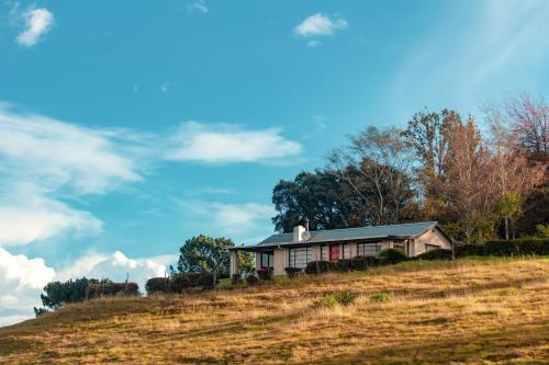 a house on top of a hill in a field at Daneswold Country Cottage and Manor House in Hogsback
