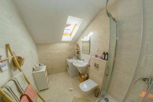 a bathroom with a shower and a sink and a toilet at Apartman Zamak Sombor in Sombor