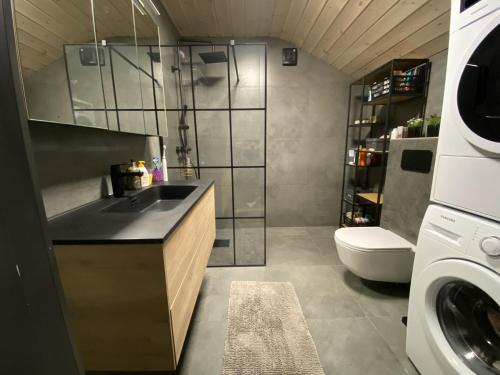 a bathroom with a sink and a toilet at Newly renovated apartment with a central location in Geilo