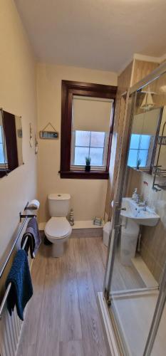 a bathroom with a toilet and a sink and a shower at Morris Terrace Apartment in Stirling