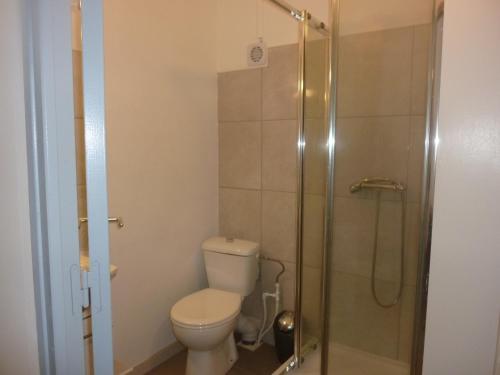 a bathroom with a toilet and a shower at VANILLE REUNION in Saint-Denis