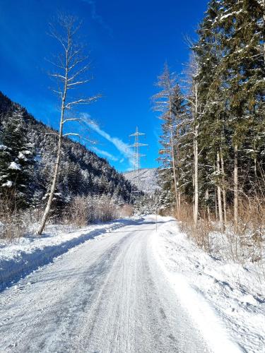 a snow covered road with trees on the side at Hotel & Gasthof Taferne in Schladming