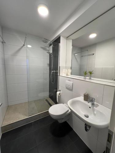 een badkamer met een toilet, een wastafel en een douche bij Pension Zwei A in Leverkusen