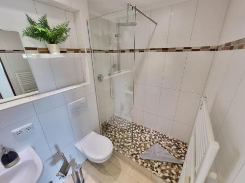 クックスハーフェンにあるFrische Briseのバスルーム(シャワー、トイレ、シンク付)