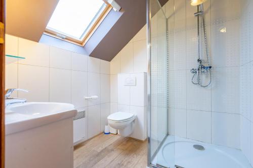 a bathroom with a shower and a toilet and a sink at Au Coeur du Bois in Rendeux