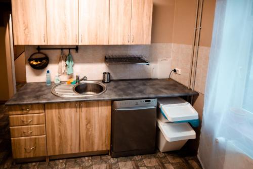 a small kitchen with a sink and a dishwasher at Viesu māja Stadula in Skrunda