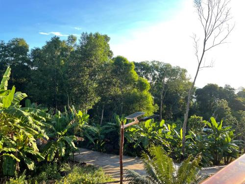 a street light in a garden with trees at COZY HOME PHU QUOC in Phu Quoc