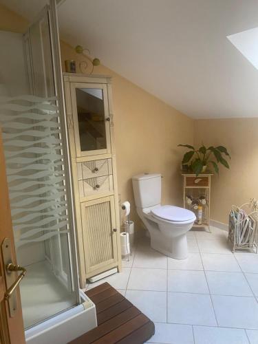 une salle de bain avec toilettes et douche dans l'établissement Chez Eric et Sophie, à Tigné