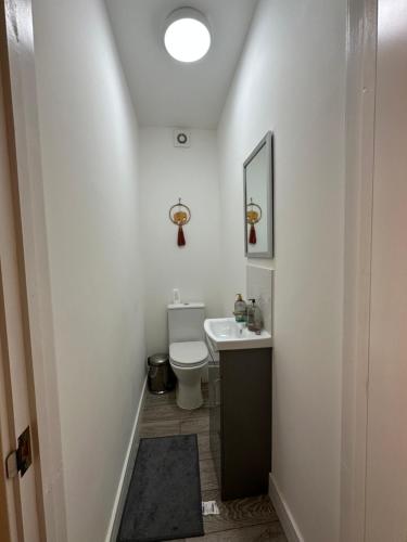 a small bathroom with a toilet and a sink at Herbies Stay in Southend-on-Sea
