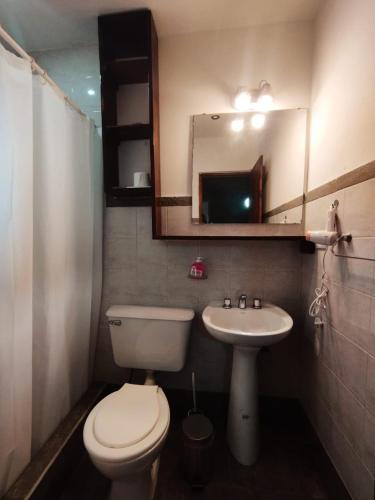 a bathroom with a toilet and a sink and a mirror at APART PIRAMIDe in El Chalten