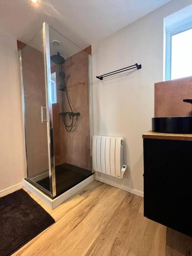 une salle de bain avec une douche avec une porte vitrée dans l'établissement Appartement Croix-Rousse, à Lyon
