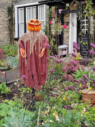 a scarecrow in a garden with a pumpkin on his head at Puddle Duck Lodge – Adults Only in Bowness-on-Windermere
