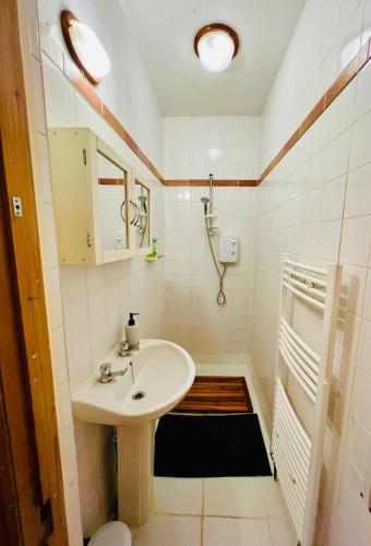 een badkamer met een wastafel en een douche bij Pretty studio, 2 minutes to beach! Self-contained. in Brighton & Hove