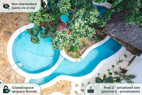 un rendimiento de una piscina con una planta en TASNEEM Aparthotel, en Jambiani