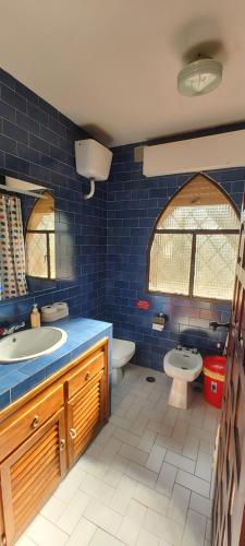bagno blu con lavandino e servizi igienici di ISLA DEL BURGUILLO ad Ávila