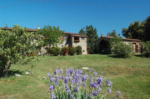a garden with purple flowers in front of a house at Agriturismo San Ansanino- Piscina con spiaggia-Aria condizionata in Pari