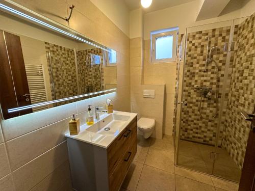uma casa de banho com um lavatório, um chuveiro e um WC. em Holiday Apartment em Ghimbav