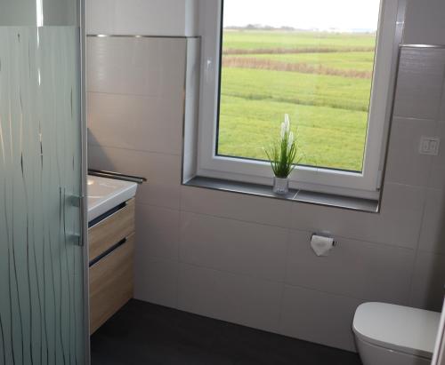 a bathroom with a window with a plant in it at Ferienhaus Dorie in Dornumersiel