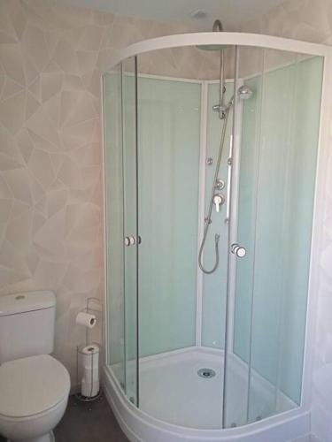 a bathroom with a shower and a toilet at Maison pour 2 à 4 personnes in Brassac-les-Mines