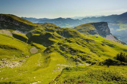 a green mountain with a sheep on top of it at FLÜHLI Hotel Kurhaus in Flühli