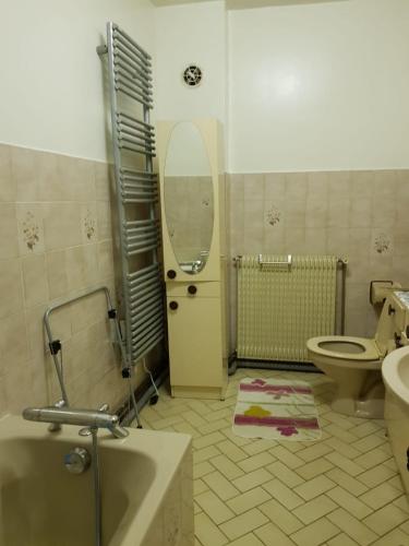 een badkamer met een wastafel, een toilet en een spiegel bij pinson 