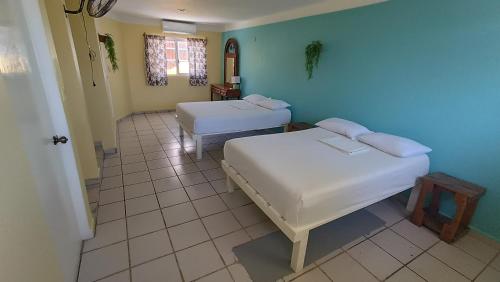 a room with two beds and a blue wall at Tres Mundos Hostel in Playa del Carmen